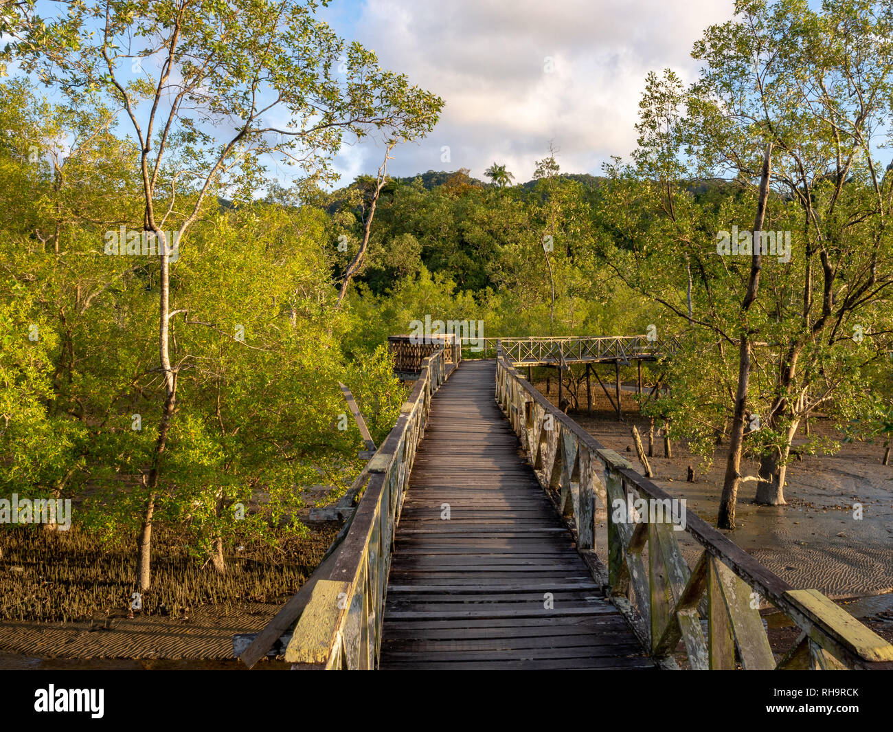 Boardwalk durch Mangrovensümpfe im Bako Nationalpark, Borneo, Malaysia Stockfoto