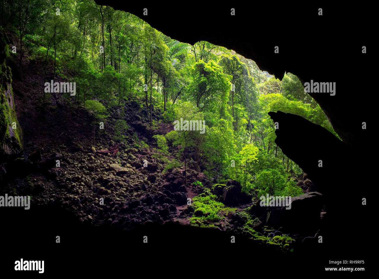 Eingang des Deer Höhle in Gunung Mulu, Sarawak, Borneo, Malaysia Stockfoto