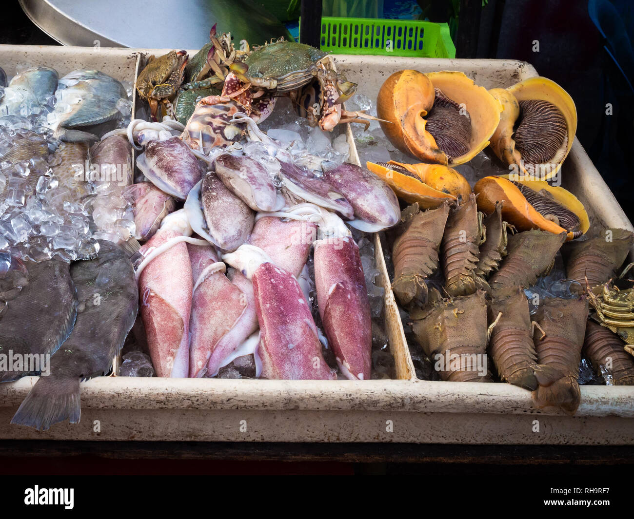Markt mit Meeresfrüchten in Kota Kinabalu, Sabah, Borneo, Malaysia Abschaltdruck Stockfoto