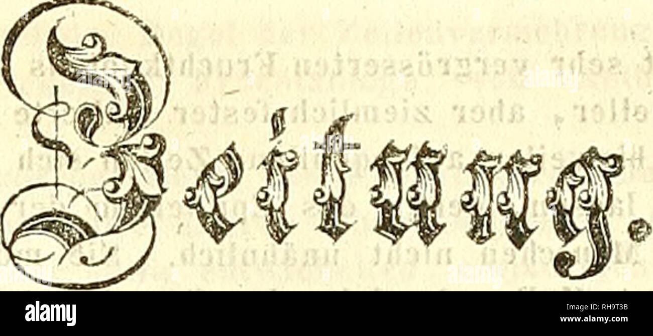. Botanische Zeitung. Pflanzen, Pflanzen. ICH (iVbrnat. 852. 8. ® £ ilck. Inhalt, © Rig.: W. Hofmeister z. Entwicklungsgeschichte. d. Zostera. - Sjit. : Walpers Annales bot. System. Ii. 1. 2. - Zeitschr. f. Pharmacie VII. 1. - Rinde er die beaut. von flowcrs in Feld und Wald. - Saillllll.: Herbar. Cryptog'. Trevisanianum. - Kraut, entomologicum. - Gel. CresellSCÜl.: Akad. d. Wissensch. z. München. - PerS. Kot. : Tre viran uns. - Kunze. - V. Ledebour, oleen. - Ä £. JVot. ! Linde F r i e's drich des Grossen. - 137 - zur Entwickeluugsgeschichte der Zostera. Von Wilhelm Hofmeister. (Besctiluss.') Der unte Stockfoto