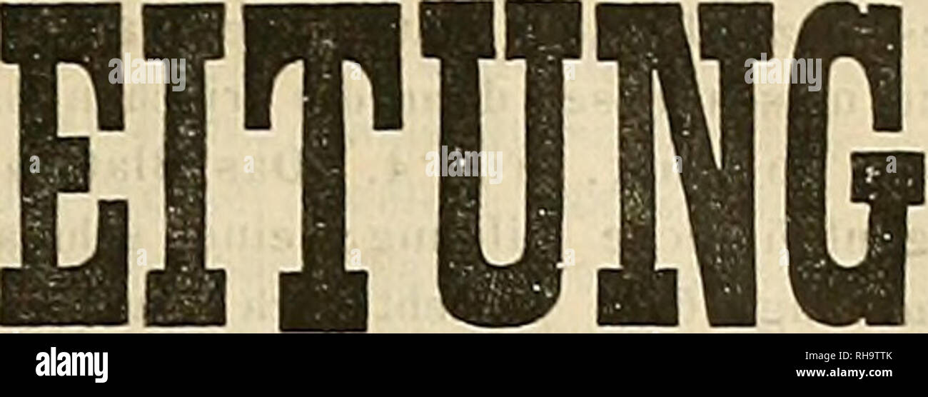. Botanische Zeitung. Pflanzen, Pflanzen. 21. Jahrgang. M gl. 22. Mai 1863 BOTANISCHE Z Redactiou: "Hugo con Moli/. - D. F. L. von Schlechtendal Inhalt. Orig.: IrmiscV, Beiträge z. vergleichenden Morphologie d. Pflanzen: Lloydia serotina. Beleuchtet. : Casimir De Candolle, Mein. s. I. in der fam.des Juglaudees. - Die Journ. für Botanik, Britische aud Ausländische. X |, i; K. irchenpa u er, d. Seetonnen d. Elbmünduug. Ein Beitr. z. Thier- u. Pflanzen-Topographie. Stenzel, untersuch, üb. Bau u. Wachslh. d. Farne. I. Ophiogl. 13,13. - Christus, 1947-1967. d. europ. Abitiu-Eu (Pinus L.). - K. nicht.: Abänderungen v. Digitalis p Stockfoto