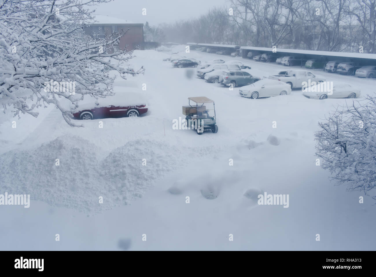 Autos mit Schnee bedeckt Stockfoto