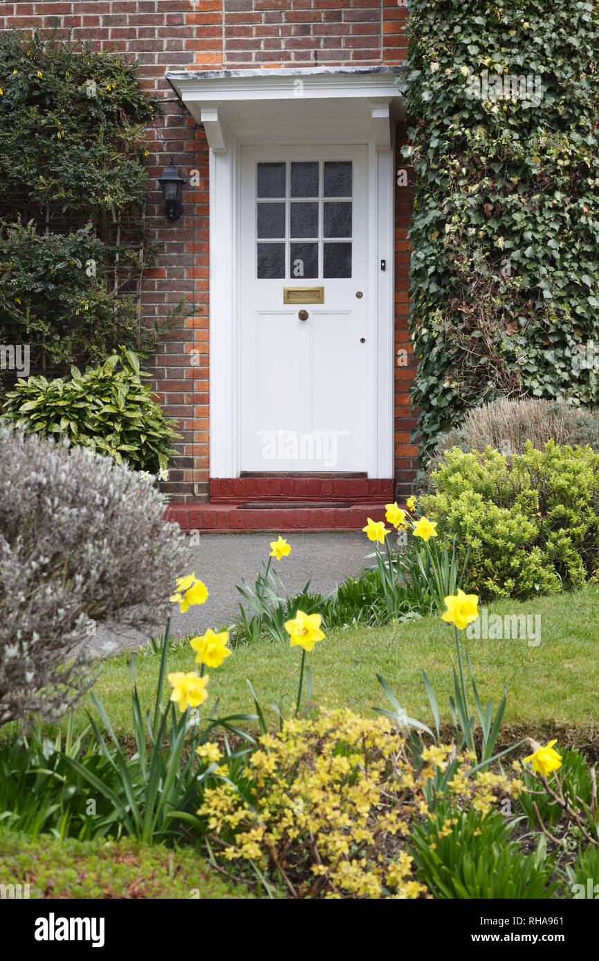 Vordere Tür auf einen Zeitraum Englisch Haus in London mit einer Blume Garten im Frühjahr mit Narzissen gepflanzt Stockfoto