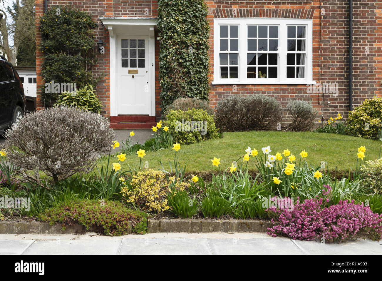 Ein Haus in Pinner, London, mit einem Garten vorne mit Narzisse Blumen Stockfoto