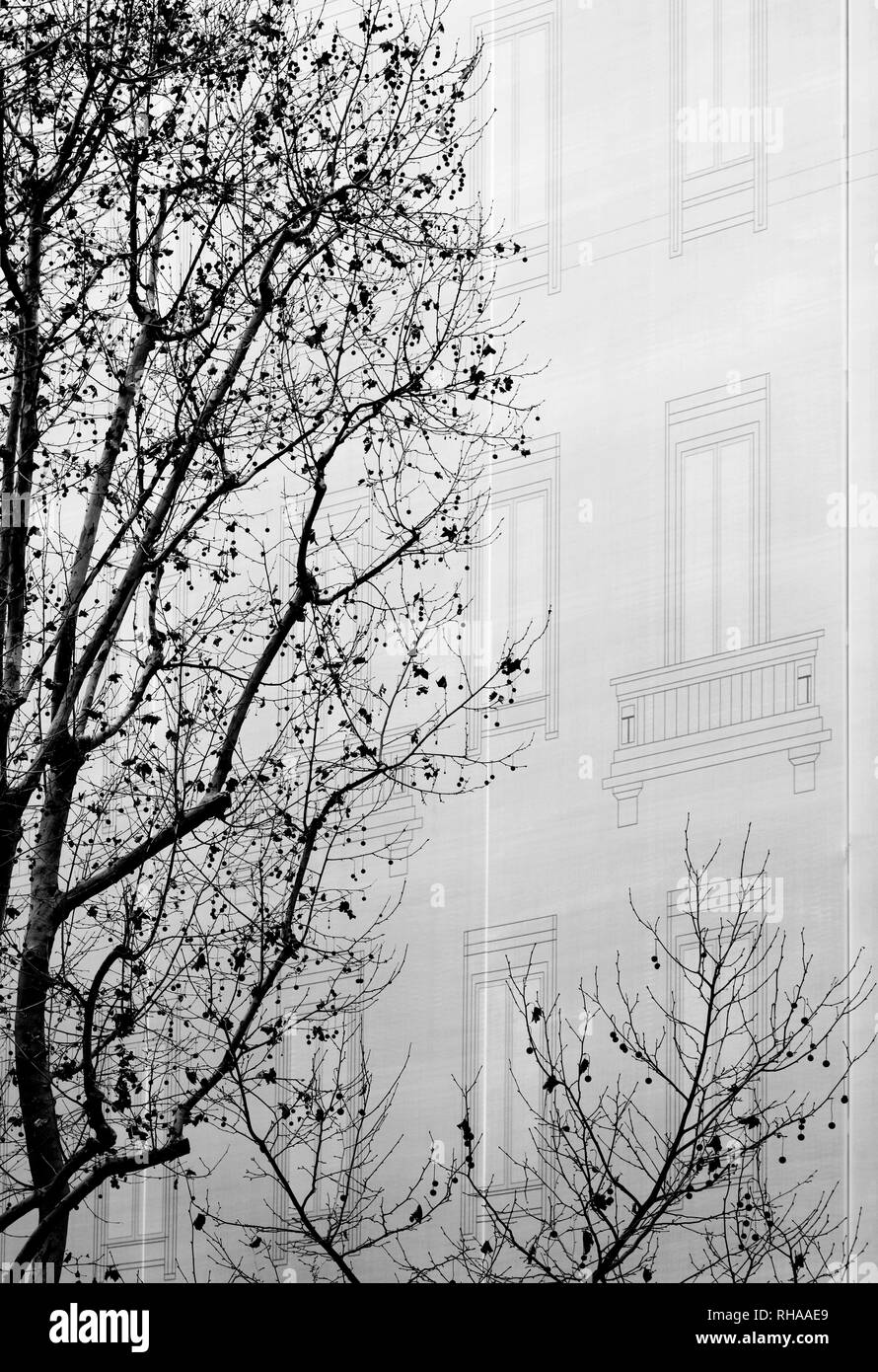 Bäume in der Nähe der Fassade eines Gebäudes Stockfoto