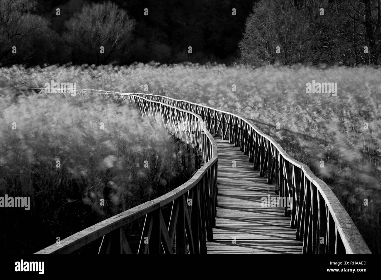 Holzbrücke über Weizen Feld "Land" Stockfoto