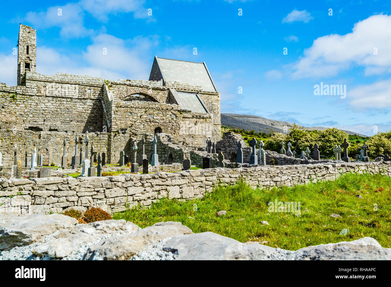 County Clare, Irland: Corcomroe Abbey Ruinen (St. Maria von den fruchtbaren Rock), Zisterzienser Kloster in der Nähe von Bellharbor in Glennamannagh und Ballyv entfernt Stockfoto