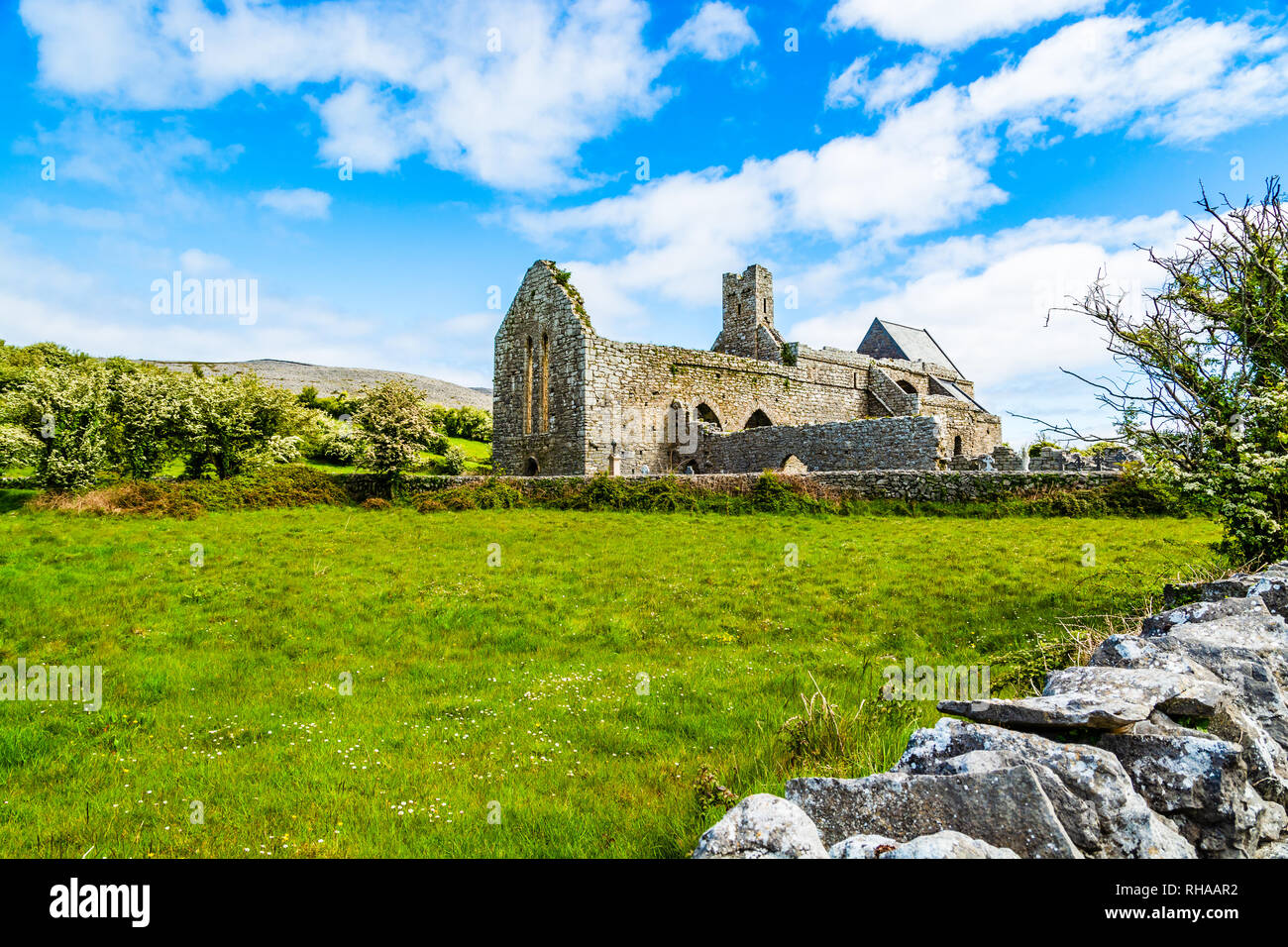 County Clare, Irland: Corcomroe Abbey Ruinen (St. Maria von den fruchtbaren Rock), Zisterzienser Kloster in der Nähe von Bellharbor in Glennamannagh und Ballyv entfernt Stockfoto
