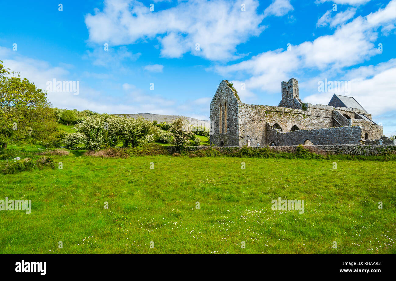 County Clare, Irland: Corcomroe Abbey Ruinen (St. Maria von den fruchtbaren Rock), Zisterzienser Kloster in der Nähe von Bellharbor in Glennamannagh und Ballyv entfernt Stockfoto