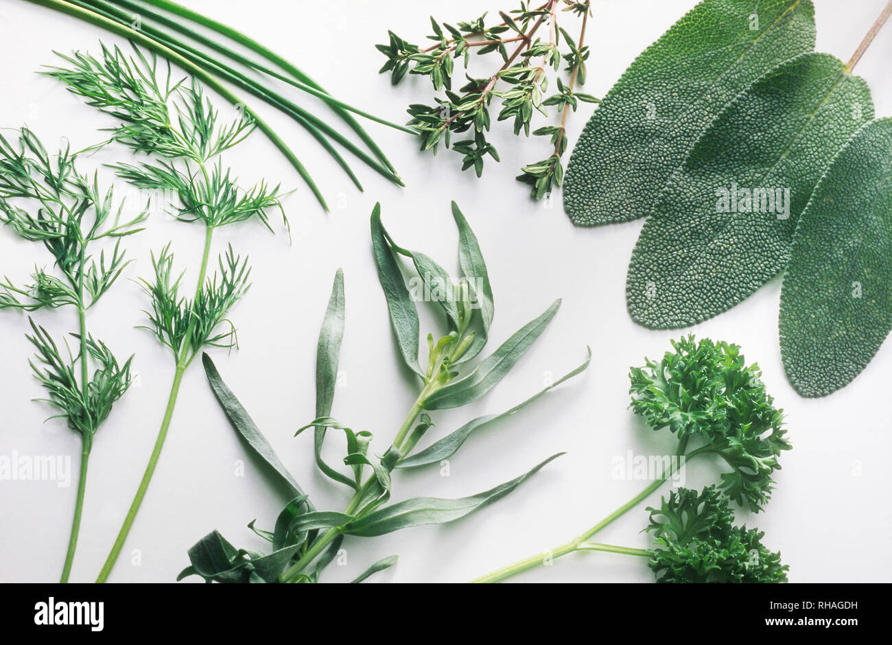 Eine Gruppe von 6 Sorten frisches Küchenkraut liegend auf eine weiße Fläche. Dill, Schnittlauch, Thymian, Salbei, Petersilie und Estragon. Stockfoto