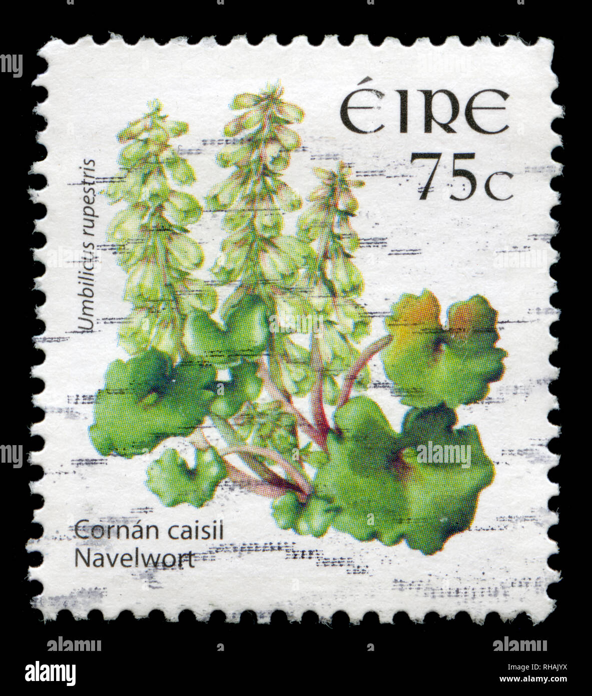 Briefmarke aus Irland in die wilden Blumen Dauerserien 2004-2011 Serie in 2006. Stockfoto