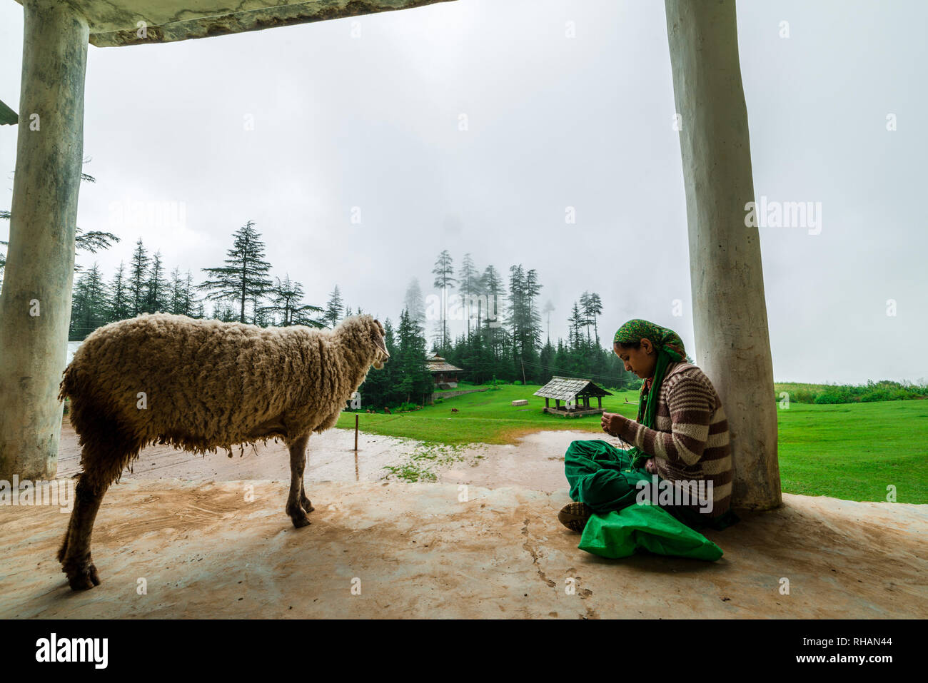 Kullu, Himachal Pradesh, Indien - September 02, 2018: Schafe und die Frau in der Veranda und Garten im Himalaya, Indien Stockfoto