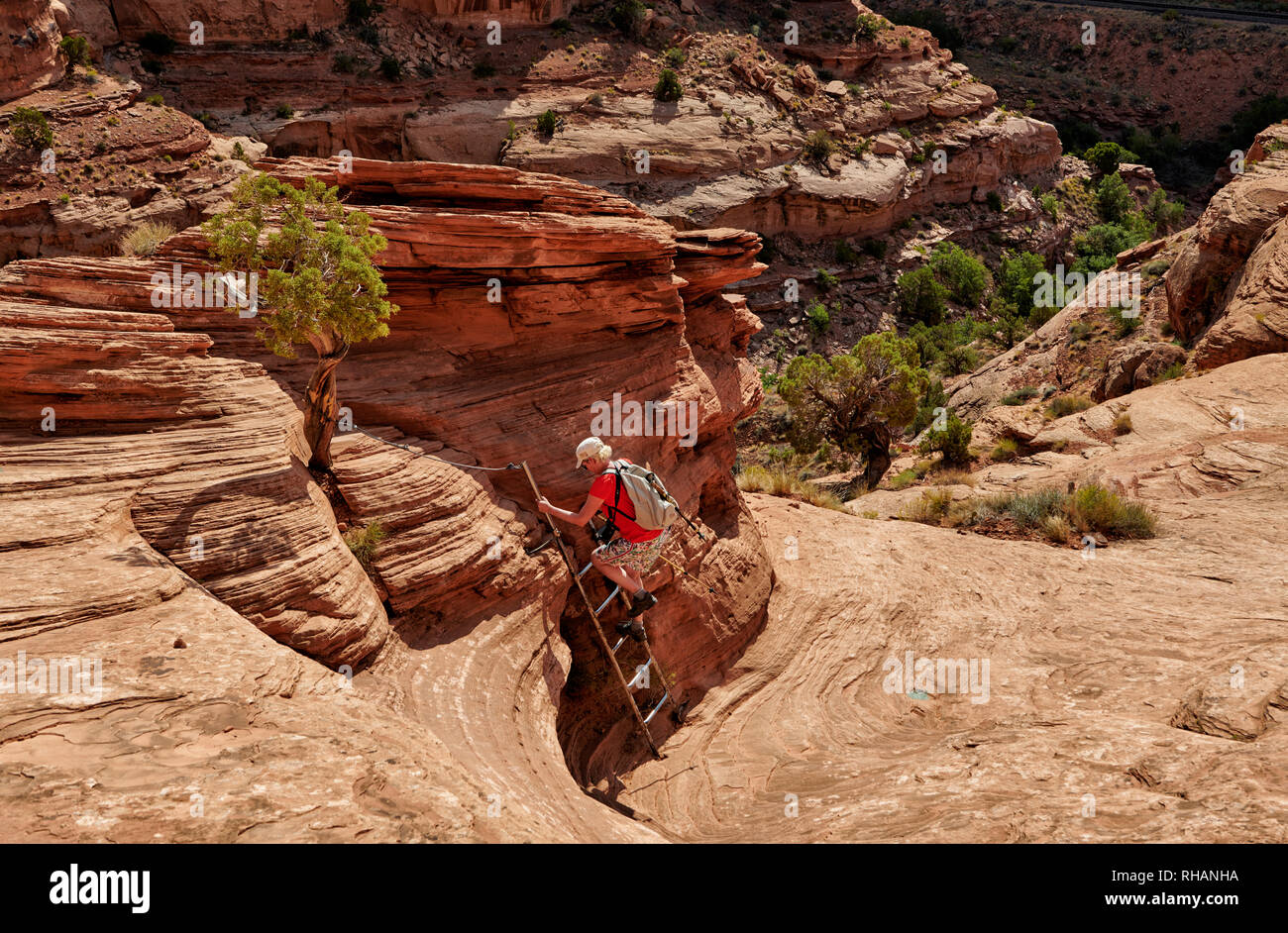 Wanderer in der Nähe von Corona Arch steigt auf einer Leiter, Moab, Utah, USA, Nordamerika Stockfoto