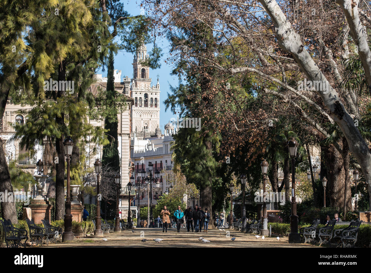 Öffentlicher Park, Sevilla, Andalusien, Februar 2019 Stockfoto