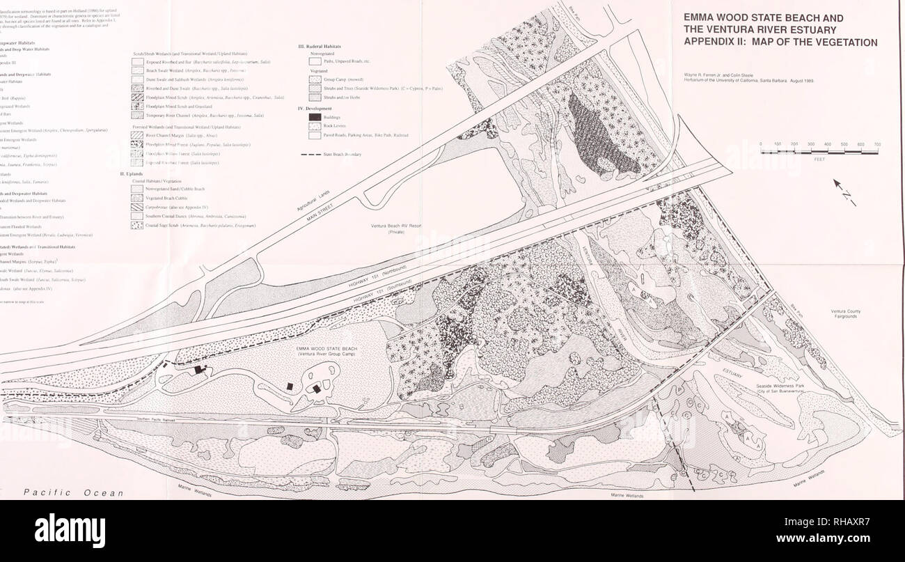 . Botanische Ressourcen Emma Holz State Beach und die Mündung des Flusses Ventura, Kalifornien: Inventory und Management: Bericht zum Zustand von Kalifornien Abteilung der Parks und Erholung/von Wayne R. Ferren Jr... [Et Al.].. Pflanzen; Kalifornien; Emma Holz State Beach.; Pflanzen; Kalifornien; Ventura Flussmündung.. 11 (JIM) Vegetation oder Lebensraum Klassifikation Terminologie beruht zum Teil auf Holland (19K6) für die Berggebiete und die Cowardin et an. (1979) für wcdand Dominant oder charactcrisdc Gattungen oder Arten arc für die meisten bewachsenen Gebieten aufgeführt, Bui nol alle Arten lisicdarc fand an allen Standorten finden Sie Appe Stockfoto