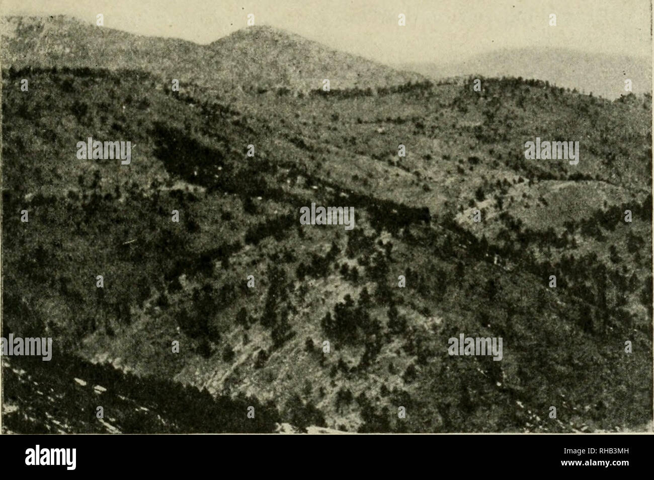 . Botanical Gazette. Pflanzen. IQipl VESTAL - PHYTOGEOGRAPIIY von Colorado 159 Teile, als von der Hnear Anordnung erhalten werden. Geog-raphers wird Beachten Sie, dass topographische Bereiche eher als land-Formen verwendet werden, wie die Einheiten der Bereich der physikalischen Bedingungen (Lebensräume), da land-Formen, wie z.b. Mesas und Schluchten, kann mehrere topografische Bereiche präsentiert sehr unterschiedliche ökologische Bedingungen gehören. Darüber hinaus ist eine einzige topographische Bereiche, auch wenn physisch Uniform, kann das Wachstum innerhalb von mehreren mehr oder weniger ausgeprägten Vegetation - Arten ermöglichen. ;-*^-. T7.^^.. Abb. 3.- besonnen Ausläufer in der Nähe von SEZIERT Stockfoto
