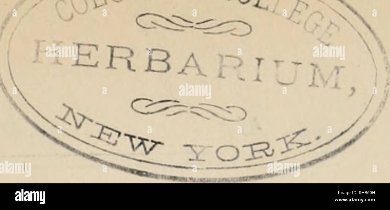 . Botanical Gazette. Pflanzen. Botanical Gazette. Vol. V. NOVEMBER 1880. Nr. 11. Editorial - Dr. Geo. Thurber, der Distinguished Botaniker, so gut von seiner Arbeit in der Graminece bekannt, segelte für Europa Sept. 2 nd. Wir understiind sein Objekt ist eine Studie über die verschiedenen Experi-mental Stationen in Frankreich, Deutschland und England, im Interesse der progressiven Landwirtschaft. Fekn. s von Nordamerika. Da das Thema des letzten Teils (Nr. 27) der großen Prof. Eaton's Arbeit, die mit dem oben genannten Titel, mehrere Arten entdeckt worden, entweder völlig neu, oder neue zu diesem Land, und eine wesentlich größere Anzahl Stockfoto