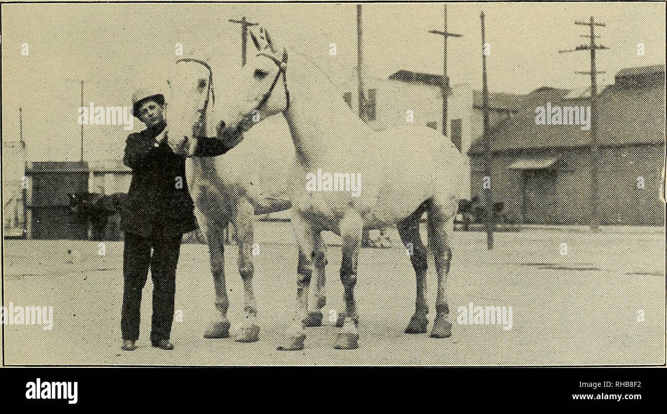 Vater das erste mal -Fotos und -Bildmaterial in hoher Auflösung – Alamy