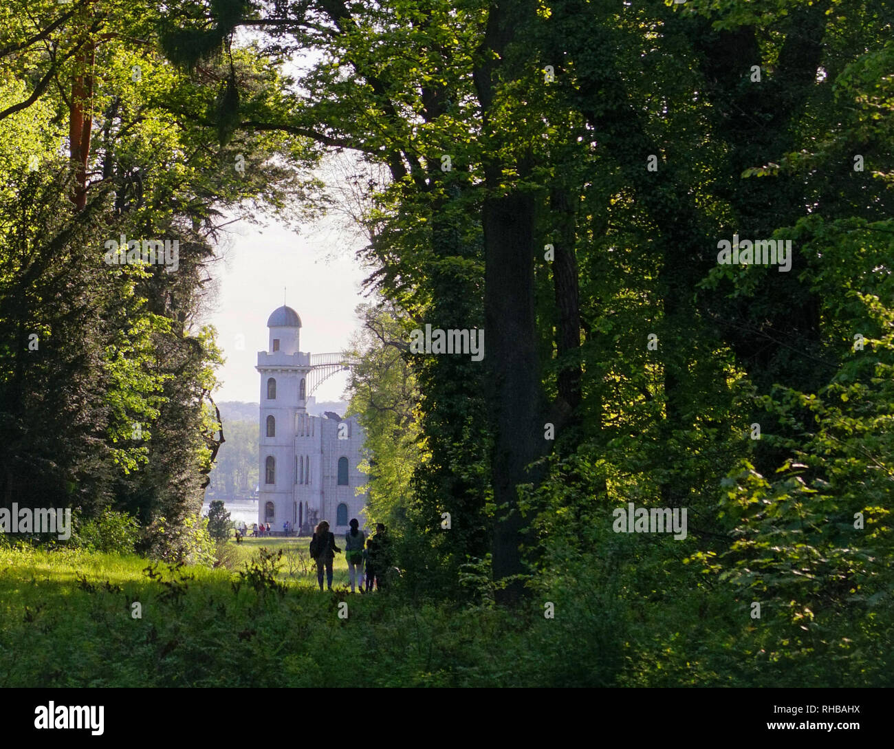 Potsdam, Pfaueninsel Stockfoto