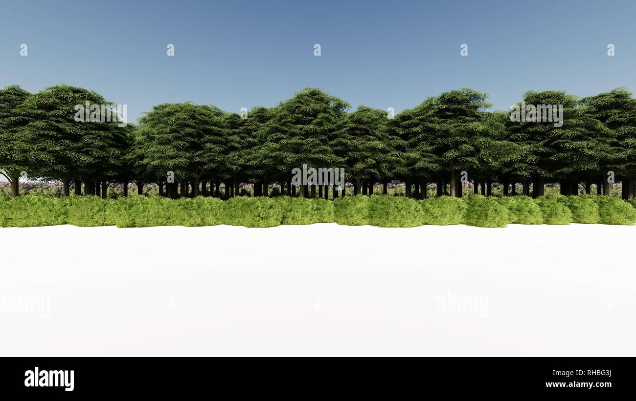 3D-Rendering für eine Gruppe von Pflanzen Roh für architectrural isoliert auf weißem Hintergrund verwenden Stockfoto