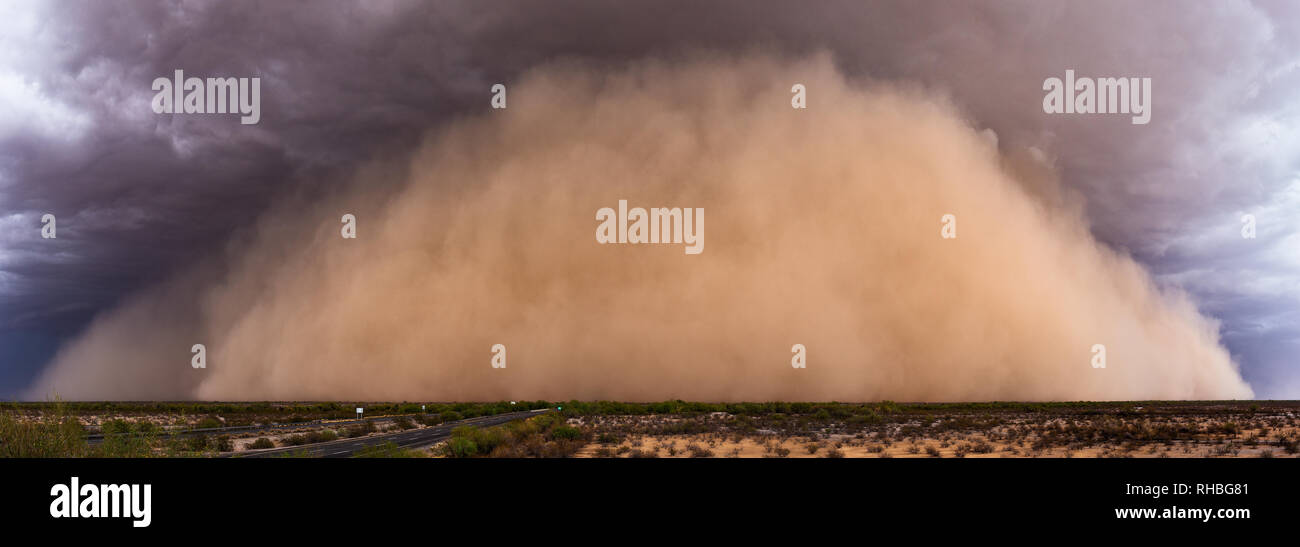 Panorama eines massiven Haboob (Staubsturms), der sich durch die Wüste von Arizona südlich von Phoenix bewegt Stockfoto