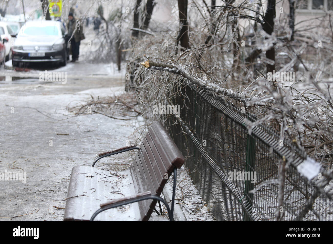 Gebrochene Äste auf dem Bürgersteig durch das Gewicht des Eises nach einem eisregen Phänomen Stockfoto