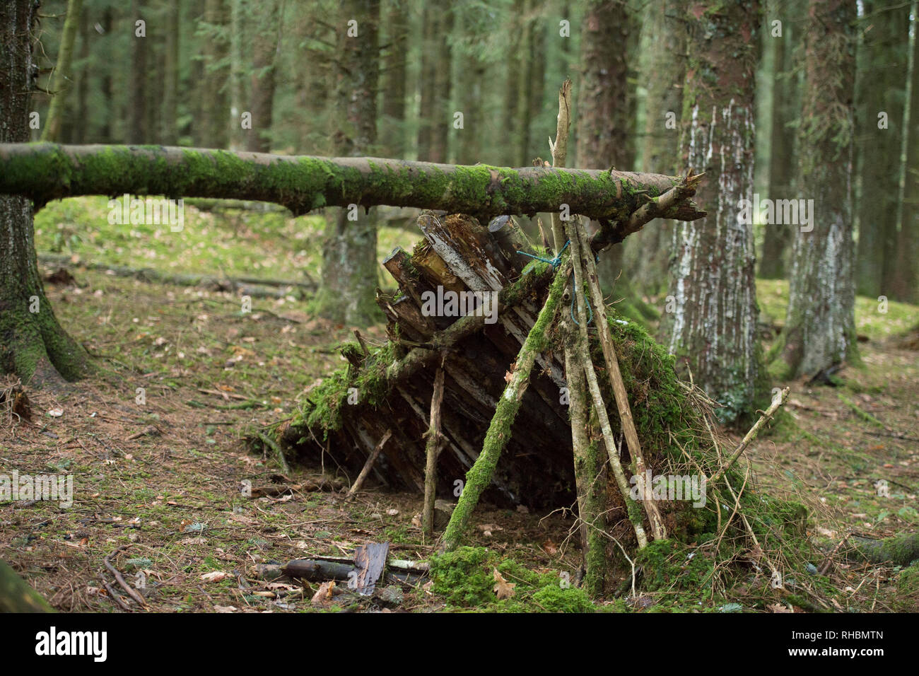 Woodland Tierheim auf das Überleben Kurs Stockfoto