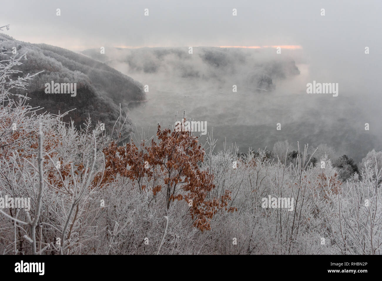 Blick auf See BaiShan, Jilin, mit kleinen Vegetation im Vordergrund. Stockfoto
