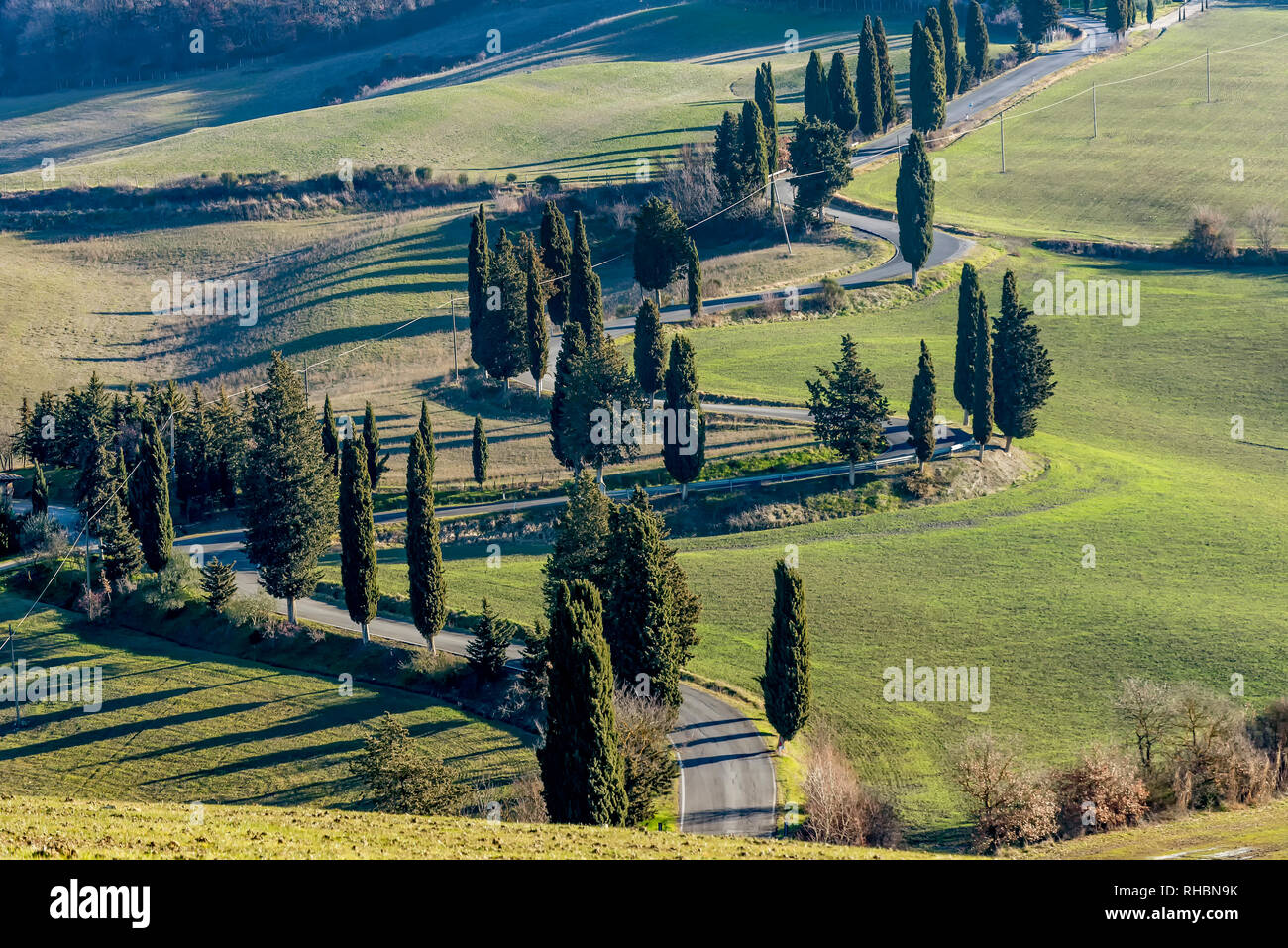 Detail der malerischen Straße von Zypressen in der toskanischen Landschaft in der Nähe von Monticchiello, Siena, Italien umrandete Stockfoto