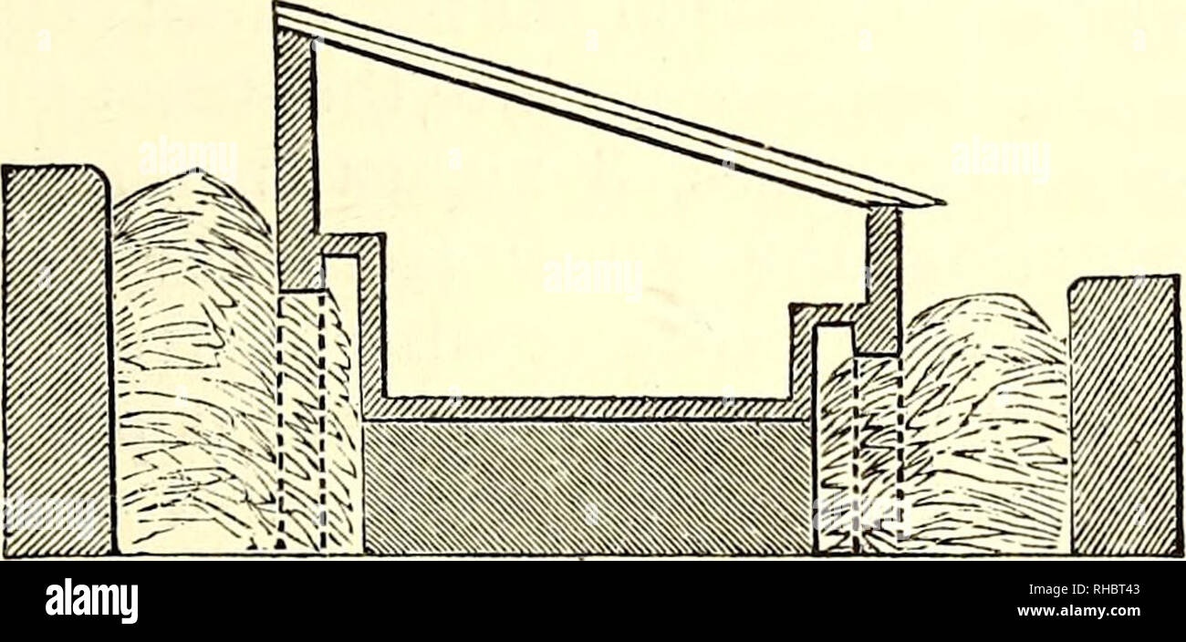 . Das Buch der Garten. Im Garten arbeiten. Beheizt wird durch Fermentation. 435 Wand der Grube, die externer Kurs der Ziegel der Pflasterklinker gebaut ist (etwa die Hälfte der Stärke der gemeinsamen Ziegel) auf Kante in Zement eingestellt: Der Grund für diese Anordnung wird feucht und feuchte Wärme an der Rückseite zugeben, und trockene Hitze auf der Vorderseite. Thompson's Pit, wie gedacht, und in der "Enzyklopädie des Im Garten arbeitens" beschrieben, S. 573, ist eine andere als die des M'Phail, durch seine Sub-stituting" Stein Fensterstürze statt der Taube - Löcher in den Außenwänden. Die pendelaufhängung isolierte Lage der Gruben lässt einen circul Stockfoto
