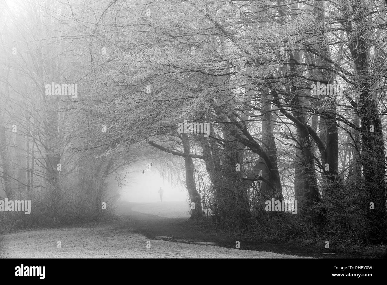Ein bitter kalt Winter morgen im Colwick Park in Nottingham, Nottinghamshire England Großbritannien Stockfoto