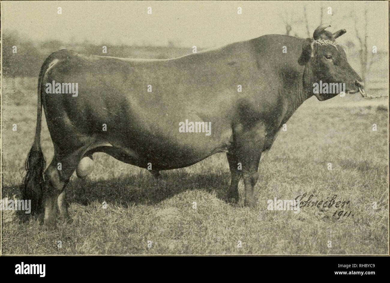 17 02 94 Stockfotos Und -Bilder Kaufen - Alamy