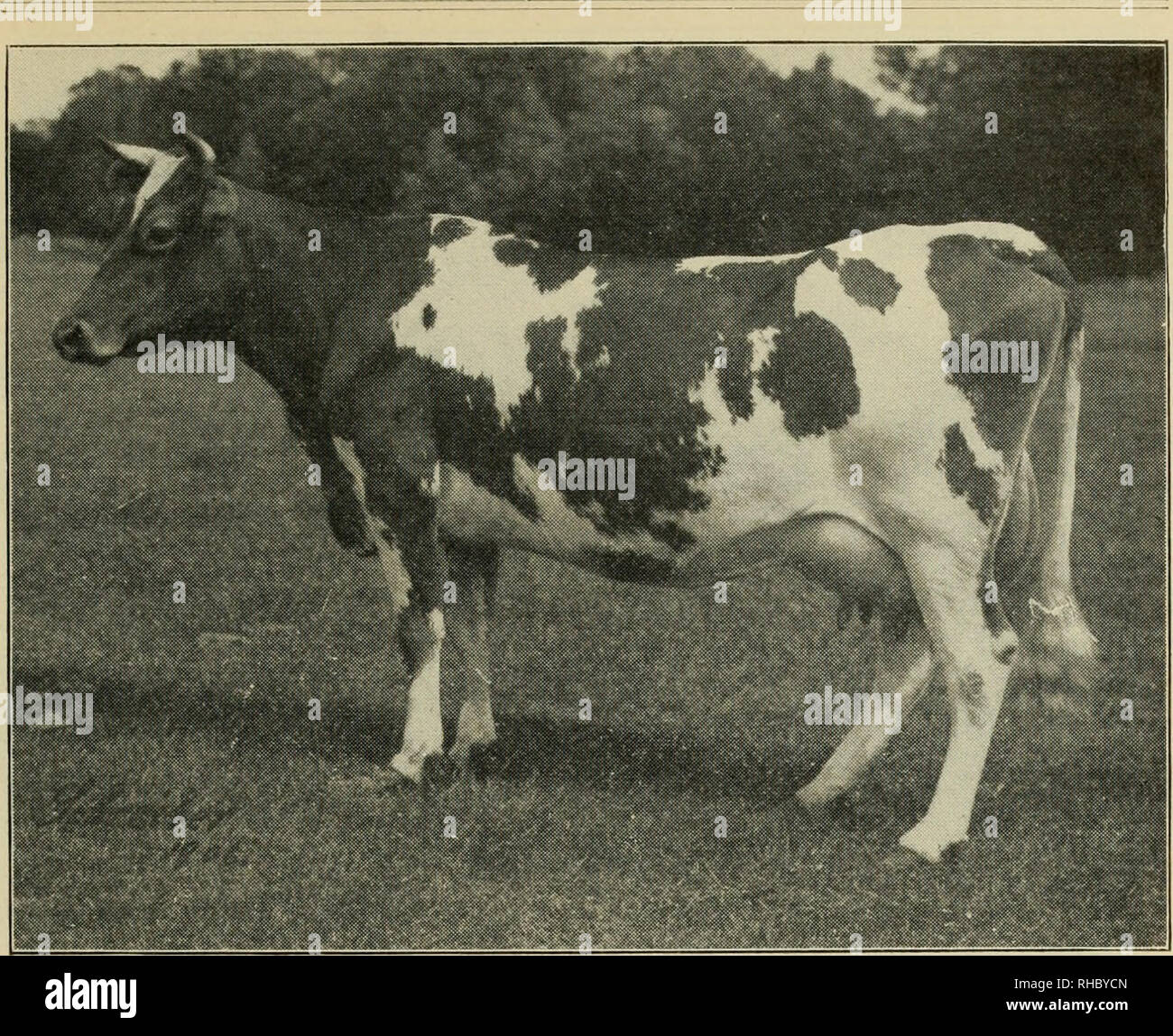 17 02 94 Stockfotos Und -Bilder Kaufen - Alamy