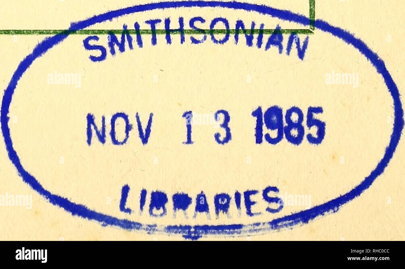 . Das Buch Der formschnitt. Formgehölze arbeiten. 4'C 3 DAS BUCH DER FORMGEHÖLZE CHARLES H. CURTIS, F.R.H.S. ASSISTANT EDITOR DER ZEITSCHRIFT "Gärtner"; zuvor Assistent Betriebsleiter der Gärten der königlichen Gartenbaugesellschaft, CHISWICK; UND FRÜHER IM Royal Gardens, Kew und W. GIBSON CHEFGÄRTNER IN LEVENS HALL, WESTMORELAND "Der Mann, der Spott auf mich zu bestaunen, so wie ich, eine gut schneiden Peacock, kann meine Versicherung im voraus, dass ich weder ihn noch ihn Missbrauch; aber Mitleid mit ihm Ich muss." Shirley Hibberd. JOHN LANE BODLEY HEAD: DIE LONDON UND NEW YORK. MCMIV. Bitte keine Stockfoto