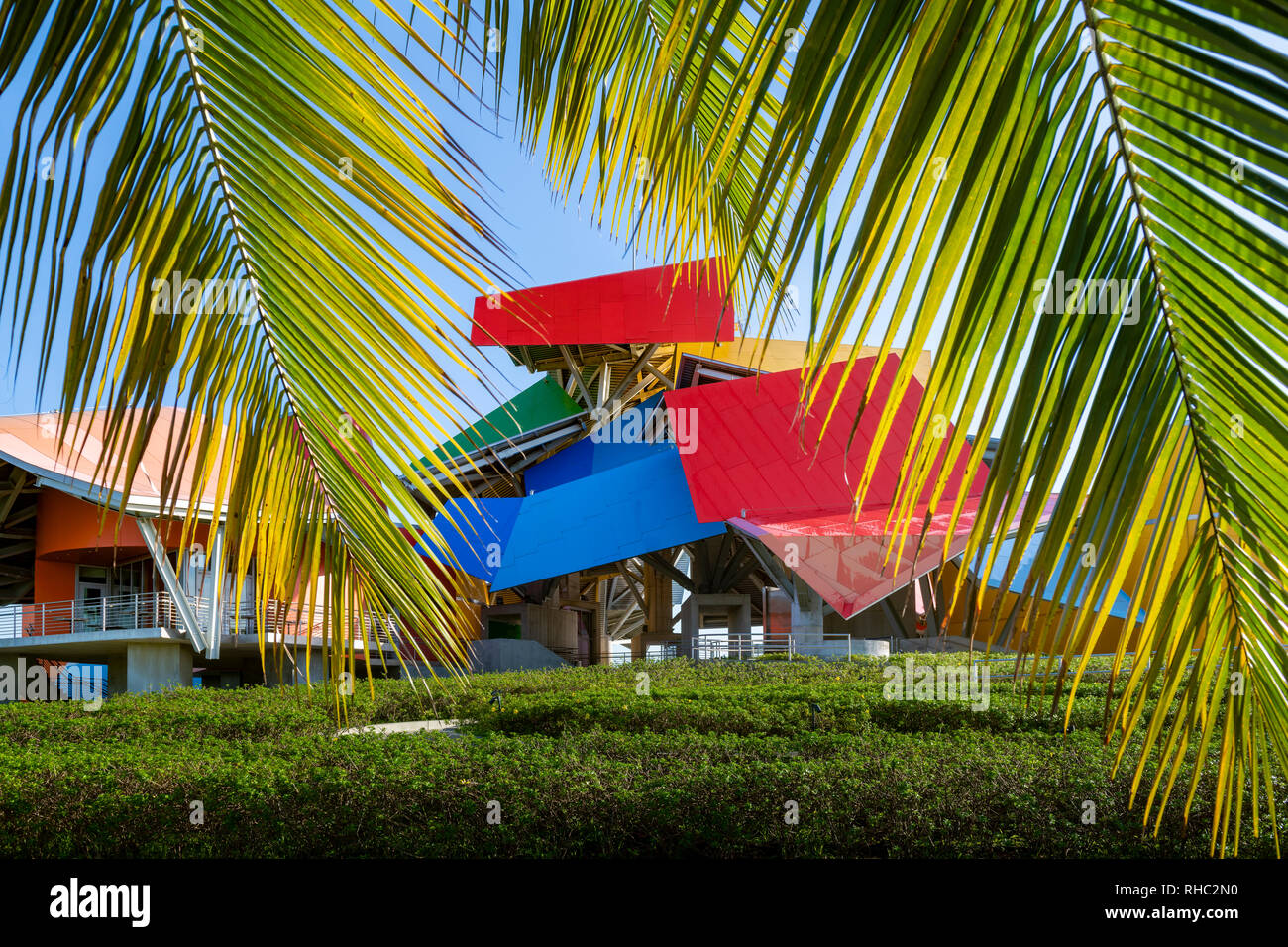 Frank Gehry entworfen biomuseo in Panama City an armador av Stockfoto