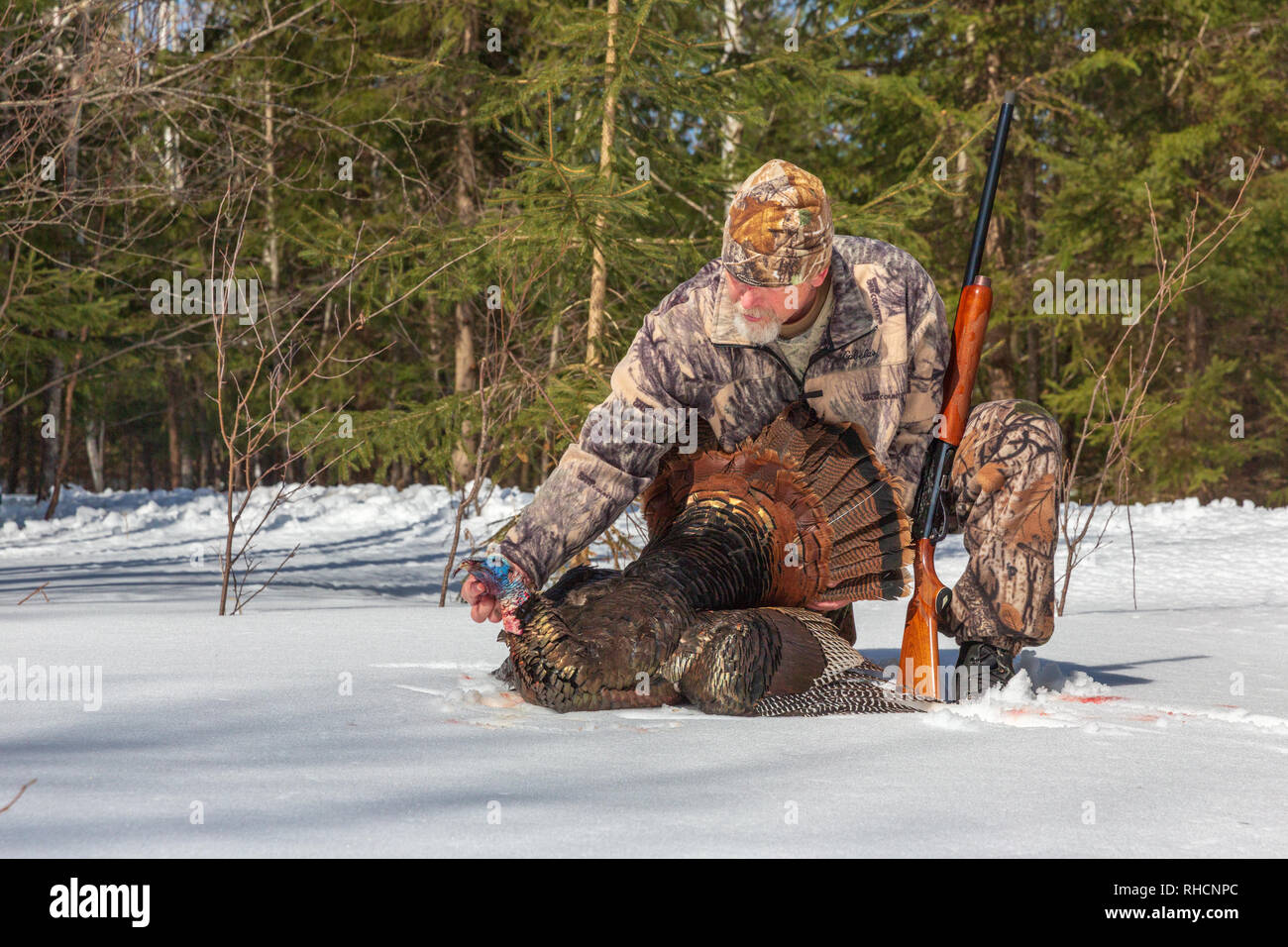 Hunter posiert mit seinem Frühling Türkei in Nordwisconsin. Stockfoto