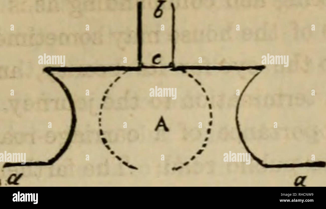 . Das Buch der Garten Management: mit Informationen über die Verlegung und Pflanzen Gärten... Gartenbau - - Großbritannien. nOADS, Spaziergänge, UND BRÜCKEN. 105 -3) arallelogram, das Tor h c, aus Lügen von der öffentlichen Straße ein, wie in Abb. Ein, wird das Formular, indem Sie die Kurve an jedem Ende des Parallelogramms verbessert, und. Bitte beachten Sie, dass diese Bilder sind von der gescannten Seite Bilder, die digital für die Lesbarkeit verbessert haben mögen - Färbung und Aussehen dieser Abbildungen können nicht perfekt dem Original ähneln. extrahiert. Beeton, Samuel Orchart, 1831-1877; Shaw, Henry; von der Waage Stockfoto