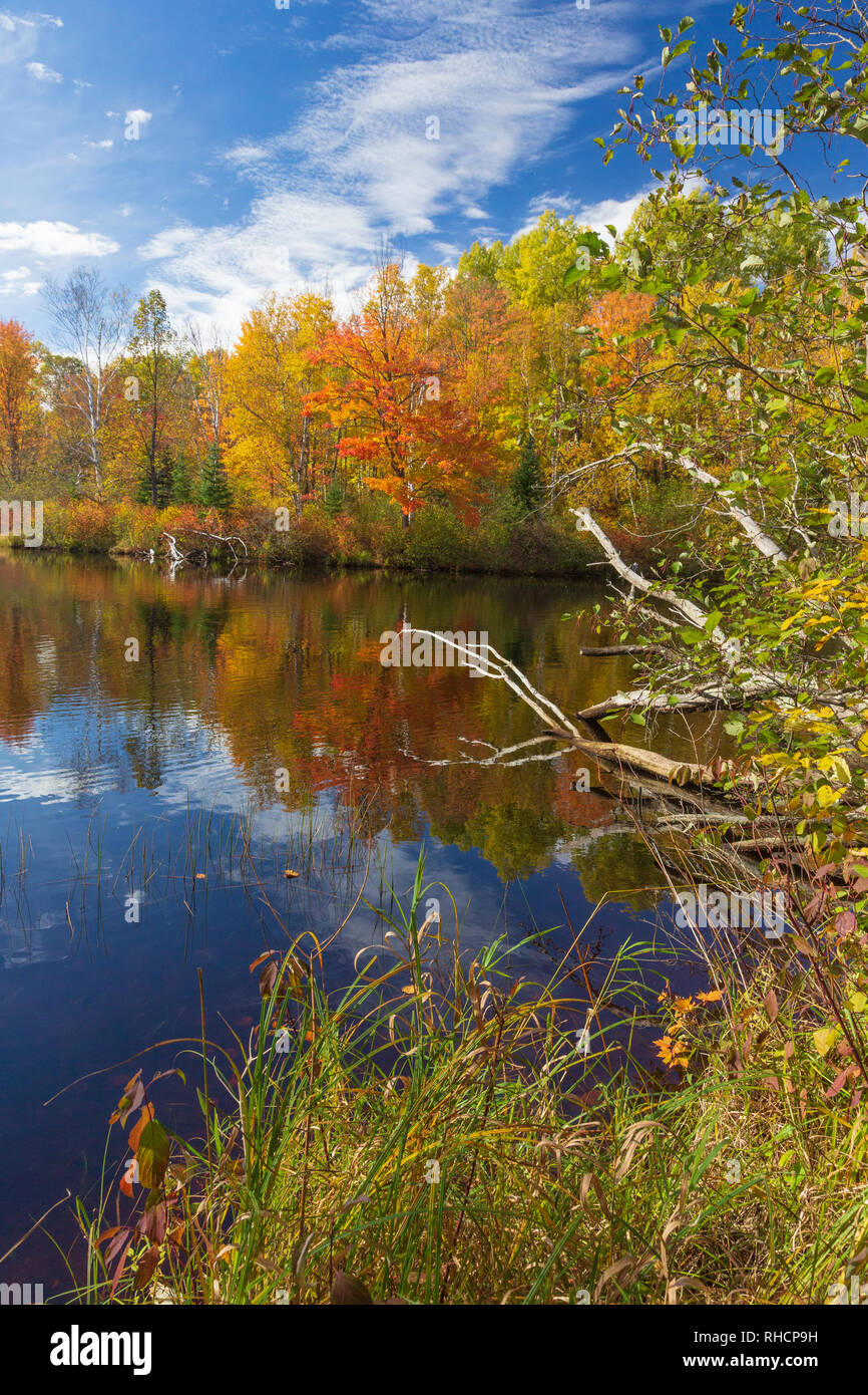 Herbst auf der East Fork des Chippewa River im Norden von Wisconsin (chequamegon National Forest ist auf der anderen Seite des Flusses). Stockfoto