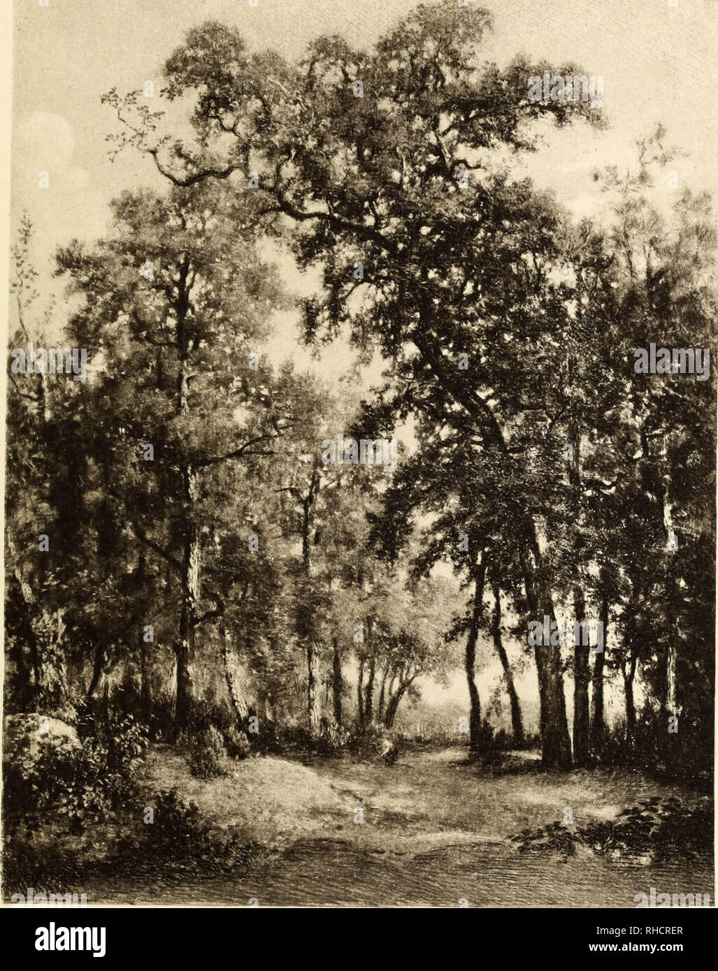 Katalog de Tableaux anciens et modernes, Pastelle, Objets d'Art et d'ameublement, Porcelaines & faïences, Composant la collection de M. X... [Lallemand et Lecocq Dumesnil]: Et dont la vente Aura lieu à Paris, Galerie Georges Petit... le Mercredi 2 Mai 1894... : Commissaire Priseur - mich Paul Chevallier..., Experten: M. E. Féral, Peintre..., M. Georges Petit..., M.ch. Mannheim.. Stockfoto