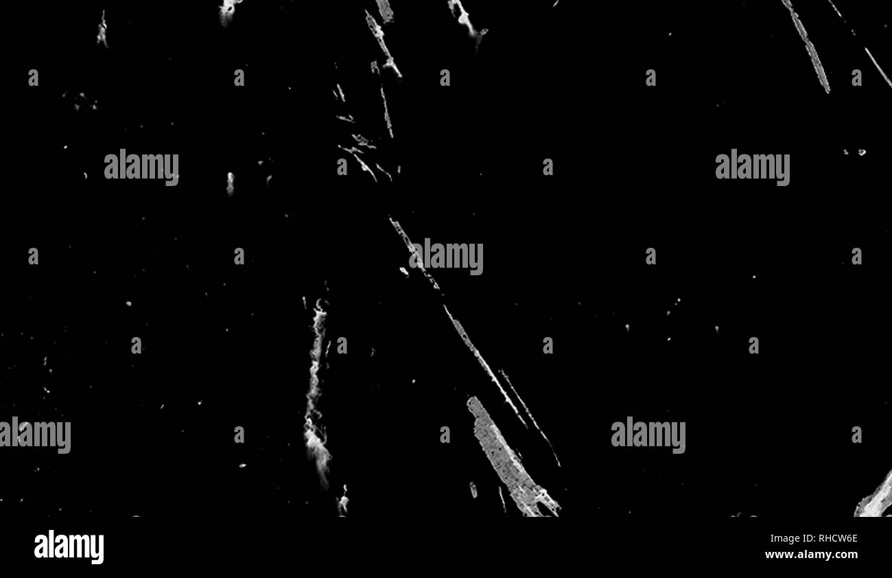 Textur von Kratzern, Späne, Abrieb, Schmutz auf der alten Oberfläche. Alt, vintage Film Effekt Overlays Stockfoto