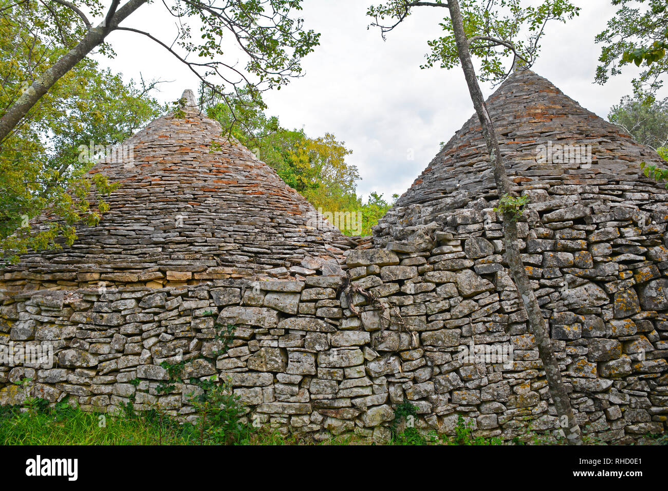 Kazuni blizanci Fotos und Bildmaterial in hoher Auflösung Alamy