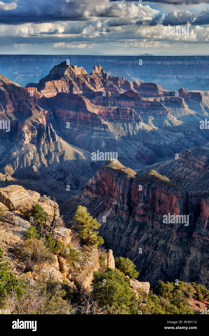 Grand Canyon, Bright Angel Point, North Rim, Arizona, USA, Nordamerika Stockfoto