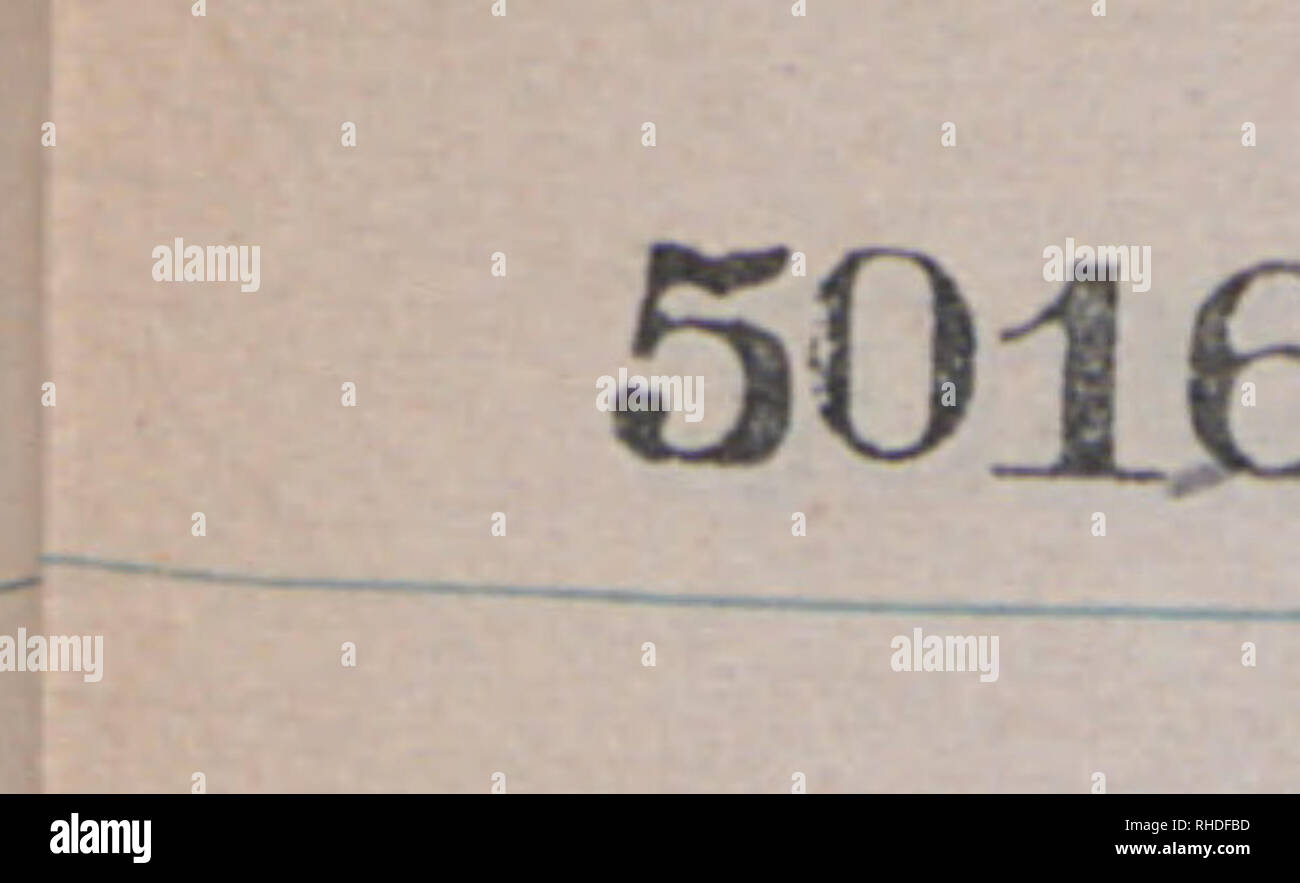 . Buch 22, Identifikation, Muster. 4872-6471, undatiert. Botaniker; Botanik. 5024 Uk u&gt;M? Frieden.**. CV - {Uu * 5026 vulpiwdt^ MJU. 5027 Urt*.. MtdpbmAiJi kscl* • 5028 5030 5031 8 "v. 5033 iys/njLclfa qitidnfrVA-L-Pft yvt - u (£ - 5034 ^ ja * (HA** In*. 5035 £* r £) t'*^-M*** 5036 5037/2a ccn^/&gt; y^^-L5038 '&AMP;r" * UW*' 1*/U. CLfpW "VJ-Lügner **** 5039 j^^^ perfoia fiCw**-L±) ein. O&lt;-. Co, mj) AnaUteA.. Bitte beachten Sie, dass diese Bilder aus gescannten Seite Bilder, die digital für die Lesbarkeit verbessert haben mögen - Färbung und Aussehen dieser Abbildungen ma extrahiert werden Stockfoto