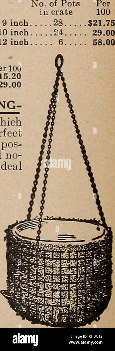 . Buch für Floristen. Blumen Samen Kataloge, Leuchtmittel (Pflanzen) Sämlinge Kataloge; Gemüse; Bäume Samen Samen Kataloge Kataloge; Gartenbau Ausrüstungen und Zubehör Kataloge. Erfolg Self-Watering Blumenkästen ERFOLG SELBST - BEWÄSSERUNG BLUMENKÄSTEN. Sind Wesentlich aus verzinktem Stahlblech gebaut, arretieren, gefalzt und gelötet wasserdicht. iide Dimensionen der Blumenkästen, Modell A. Outs Länge 24 Zoll 30 Zoll 36 Ich nch 42 Zoll Breite 814 cm 8} 4 Zoll 8 V 8 H 2 Zoll Zoll Wenn Griffe erforderlich sind, 35 c pro Wanne hinzufügen. Verpackt sechs von einer Größe, die in einer Kiste. 10% Rabatt in der Kiste. Bewässerung Töpfe Amerikanische. Hea Stockfoto