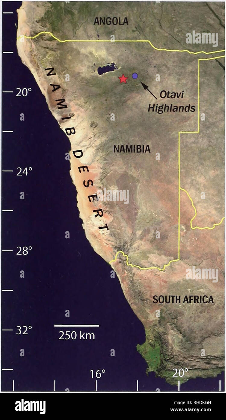 . Bonn zoologische Bulletin. Zoologie. Eine neue Pachydactylus vom