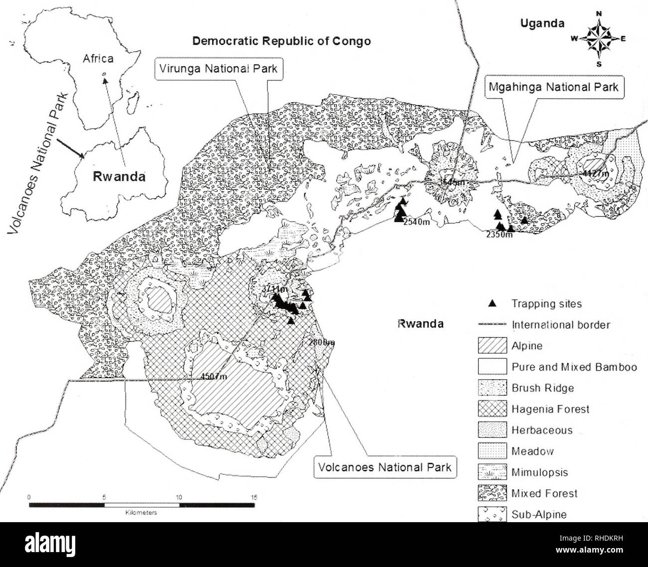 . Bonn zoologische Bulletin. Zoologie. 178 Deogratias Tuyisingize et al. '^^^^^^^ fjii Mimulopsis Mischwald^ Sub^ Mpine Abb. 1. Eine Karte der Vininga massiv zur Veranschaulichung der wichtigsten Vegetationszonen und die Standorte der trapping Websites in der Vnp. Zonen, und Sumpf); (2) die Stufen der Vielfalt in Rela- tion zu Höhe, Umgebungsvariablen und Lebensraum char-acteristics. (3) Schließlich, wir liefern die Daten von zwei frühere Studien, die zur Beurteilung der Veränderungen in der Virun-ga kleines Säugetier Vielfalt und Fülle in den letzten beitragen. MATERIAL UND METHODEN Die Studie der Volcanoes National Park Stockfoto