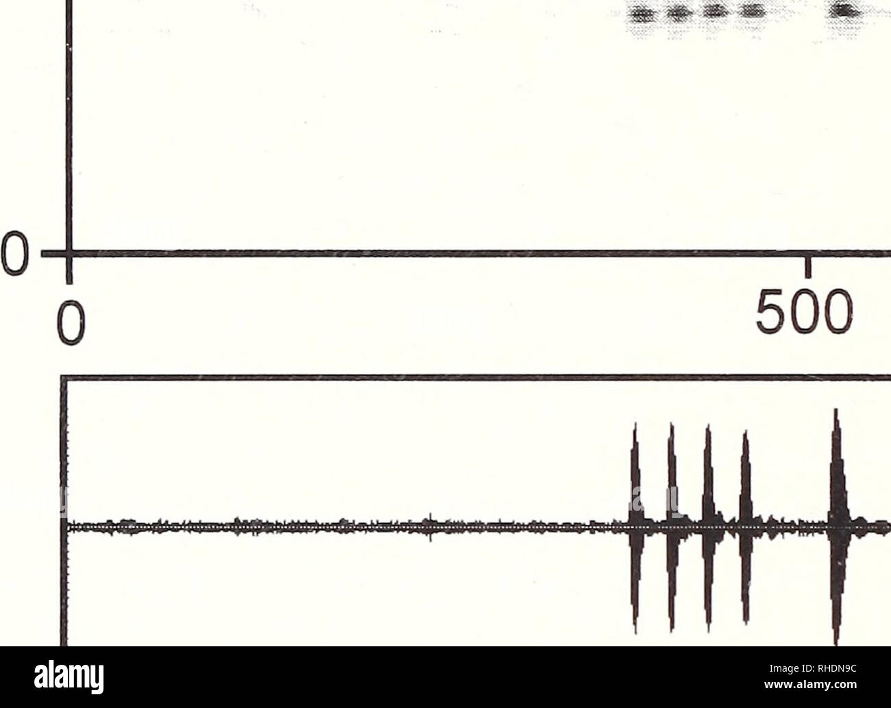 . Bonner zoologische nach 1550. Zoologie. 88 Frequenz (kHz) 10 t5. 1000 ms 1 0 500 1000 ms Abb. 23: Audiospectrogram und Oszillogramm des Werbung Aufruf von Coclvanella bejaranoi von einem Punkt nördlich von Remates, P.N. Amboro, 2300 m.ü.M. Die Aufnahme, die am 2. Januar 1998. Lufttemperatur 14,1 °C Schlupfwinkeln und waren ca. 40 mm Durchmesser und 10 mm in der Dicke. Eine Kupplung enthielt 21 Larven. Vo c a 1 i z a t i o n: Werbung Anrufe aufgezeichnet wurden am 2. Januar 1998 noith von Remates, Parque Nacional Amboro, Provincia Florida, Depaitamento Santa Cnaz, 2300 m.ü.M. C Stockfoto