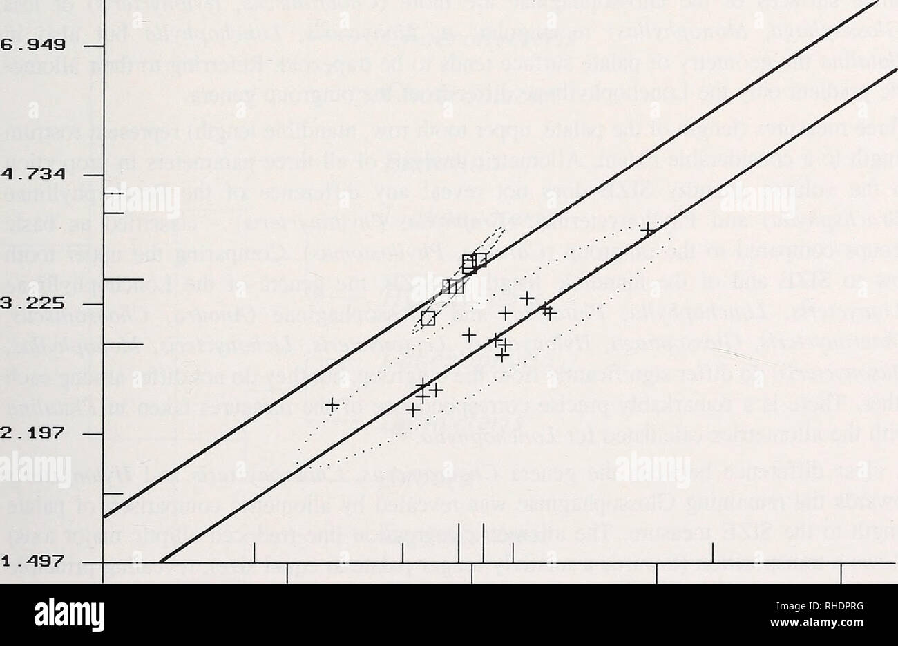 . Bonner zoologische nach 1550. Zoologie. 91 Im Hinblick auf diese Funktion allometrical Brachyphylla, nicht einmal von griescreme stomiis oder Carollia (F-Wert = 1,82 bezieht sich auf eine Tabelle Wert von 3,23 für 95% Wahrscheinlichkeit). Es ist recht interessant, dass Platalina LonchophyUa Lionycteris, und die geringste Entfernung von der Outgroup (sie alle unterscheiden sich mit p&lt;0,05 von der Outgroup) und Platalina bleibt genau auf der Linie berechnet für LonchophyUa aUometric unterscheiden. In anderen Worten: Platalina genovensium stellt eine große Arten von LonchophyUa auch witli für unterkiefer Proportionen. Compar Stockfoto