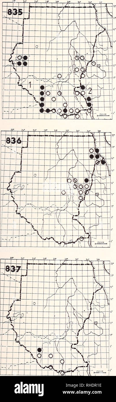 . Bonner zoologische nach 1550. Zoologie. 257. 834 Dunkel-backed Weaver (1335) keine Karte Ploceus bicolor mentalis R? NBR gelegentlich Wälder in niedriger Höhe Erläuterungen: Nur von Imatong Mts aufgezeichnet. 3/32, 4/32, wo es frequentiert Wälder (Cave & Amp; Macdonald 1955, G. Nikolaus) 835 Schwarz-headed Weaver (1312) Ploceus cucullatus) S. C. boehndorffi R LM BR3, 8-12 gemeinsame sumpfige Gebiete im Wald 2) S. C. abyssinicus R? LM NBR gelegentlich sumpfige Gebiete, oft in Wäldern 836 Rüppell Webers (1329) Ploceus galbula R LM BR 3-5 gemeinsame, lokal reichlich selten im Süden (G. Nikolaus) Akazie Grünland 837 Heu Stockfoto