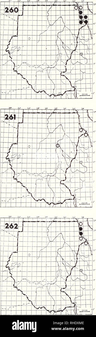 Nordqueensland datiertHaken im Ausland